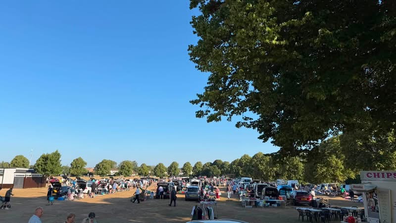 A photo of the car book sale. A field with a lot of cards lined up and a lot of people with tables selling things. The sky is blue and their is a big green tree in the foreground.